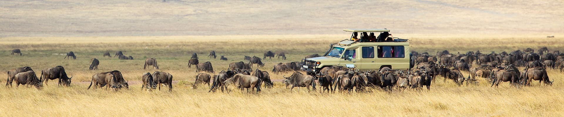 Circuits Namibie