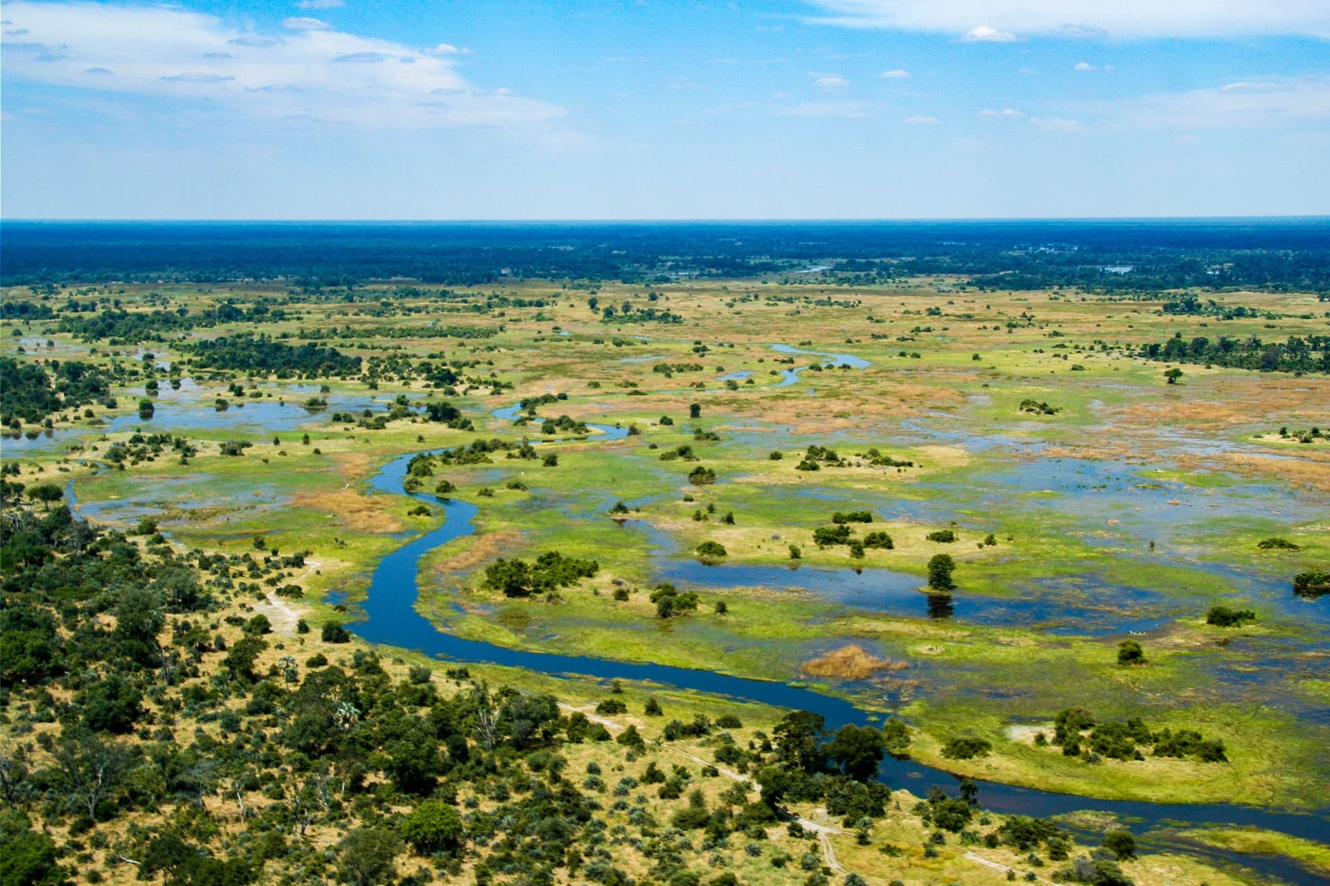 Delta de l’Okavango