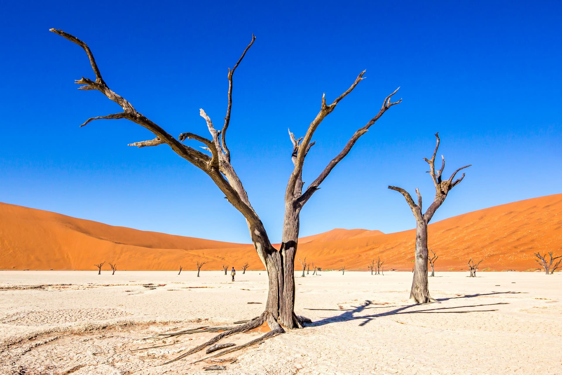 Au cœur du désert du Namib