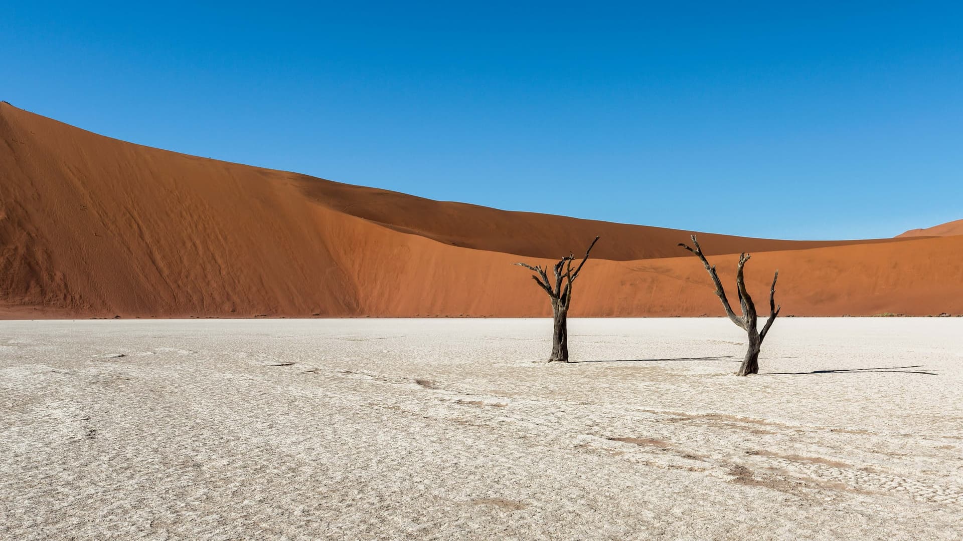Découverte des dunes du désert du Namib