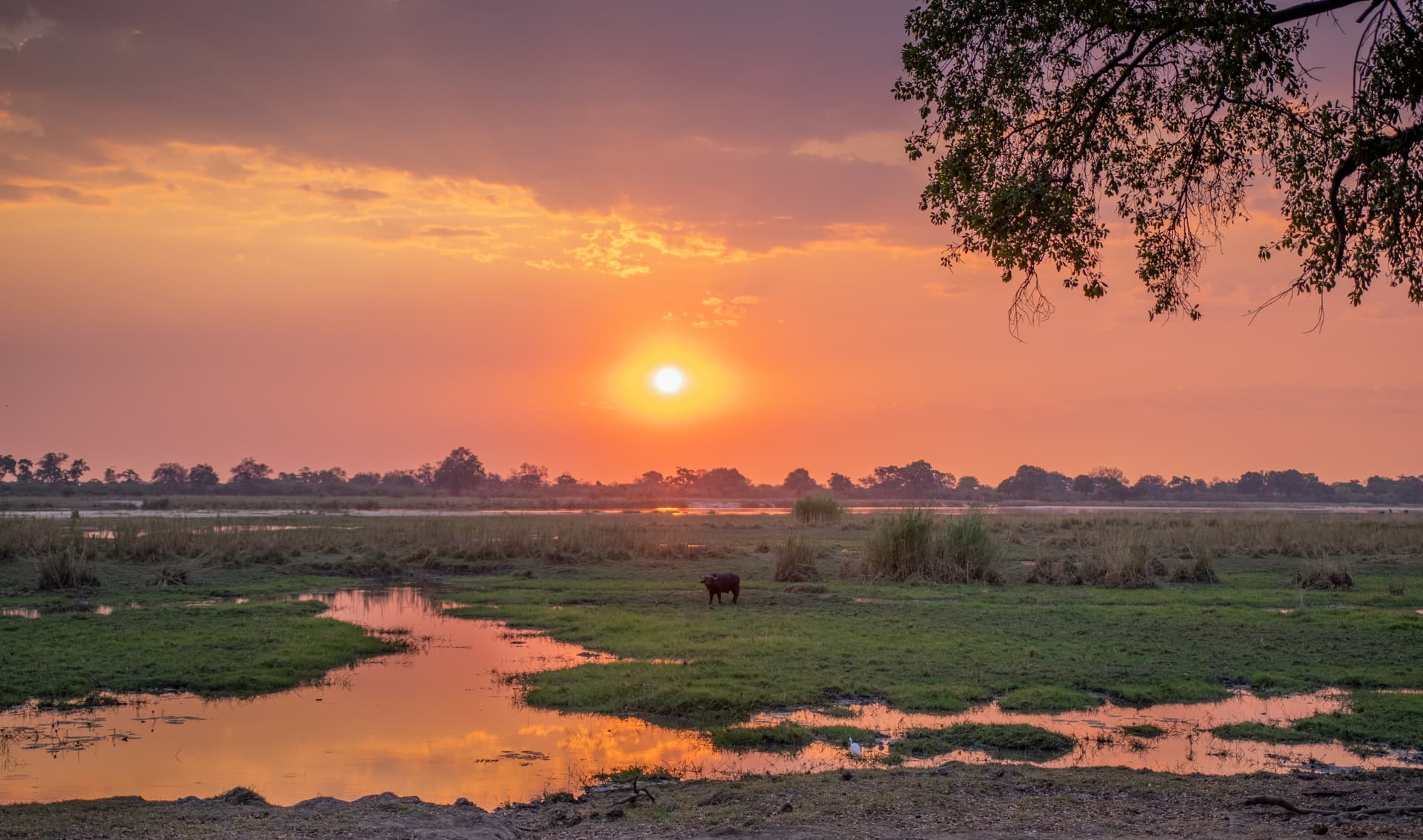 De Divundu à Kongola via le parc national de Bwabwata