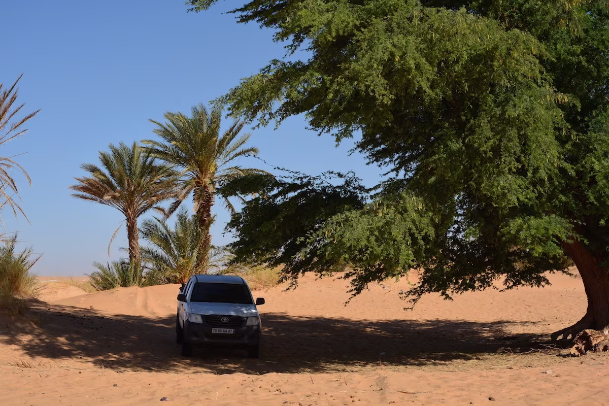 Esplendores e mistérios do norte da Mauritania